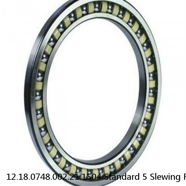 12.18.0748.002.21.1504 Standard 5 Slewing Ring Bearings