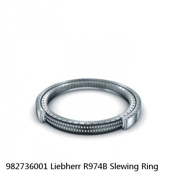 982736001 Liebherr R974B Slewing Ring