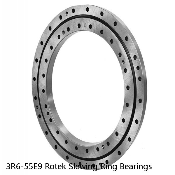 3R6-55E9 Rotek Slewing Ring Bearings