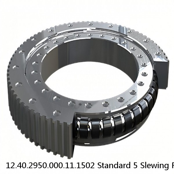 12.40.2950.000.11.1502 Standard 5 Slewing Ring Bearings