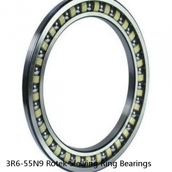 3R6-55N9 Rotek Slewing Ring Bearings