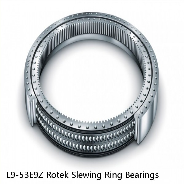 L9-53E9Z Rotek Slewing Ring Bearings