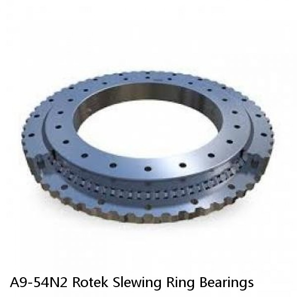 A9-54N2 Rotek Slewing Ring Bearings