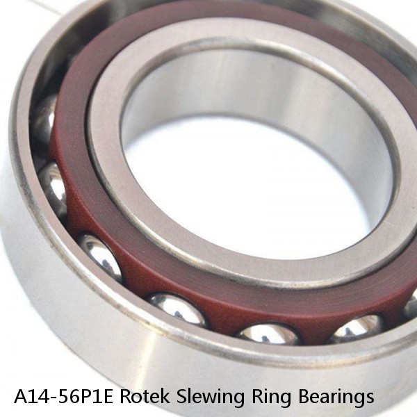 A14-56P1E Rotek Slewing Ring Bearings