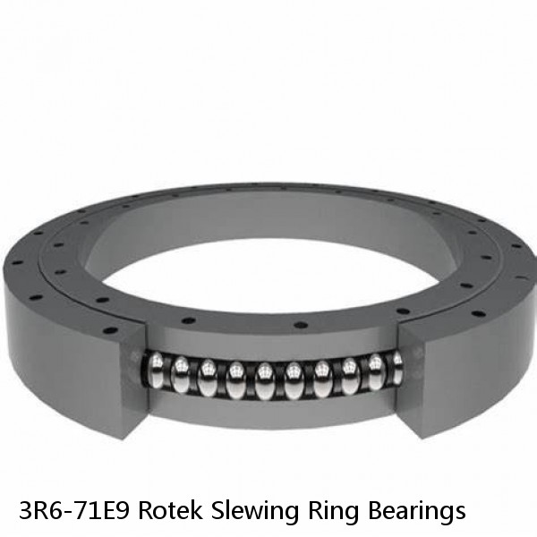 3R6-71E9 Rotek Slewing Ring Bearings