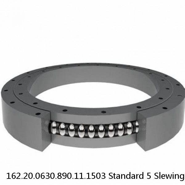 162.20.0630.890.11.1503 Standard 5 Slewing Ring Bearings