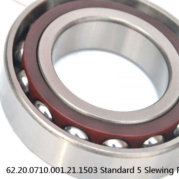 62.20.0710.001.21.1503 Standard 5 Slewing Ring Bearings