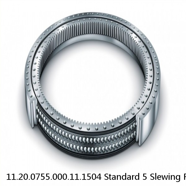 11.20.0755.000.11.1504 Standard 5 Slewing Ring Bearings