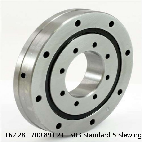 162.28.1700.891.21.1503 Standard 5 Slewing Ring Bearings