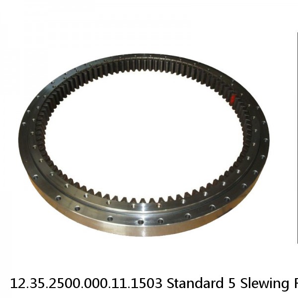 12.35.2500.000.11.1503 Standard 5 Slewing Ring Bearings