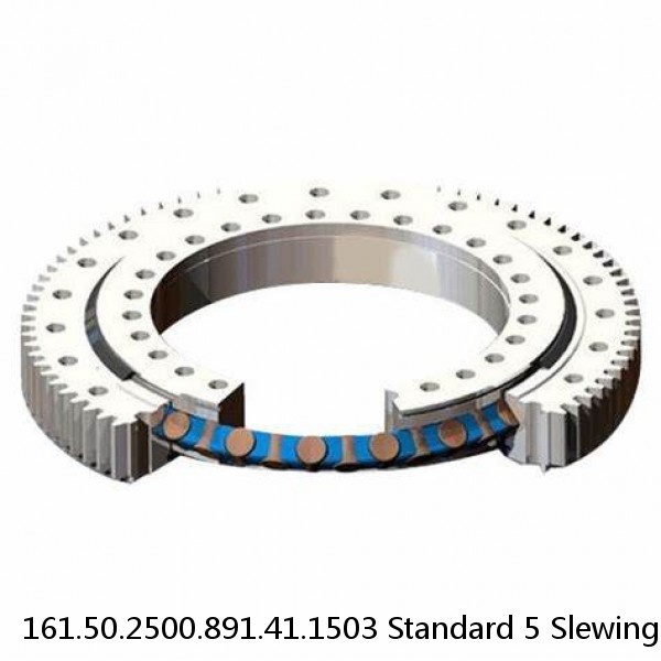 161.50.2500.891.41.1503 Standard 5 Slewing Ring Bearings