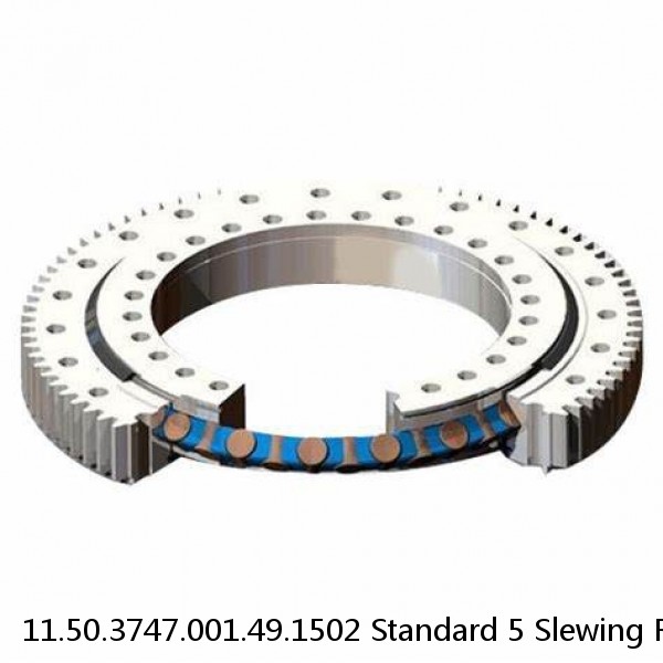 11.50.3747.001.49.1502 Standard 5 Slewing Ring Bearings