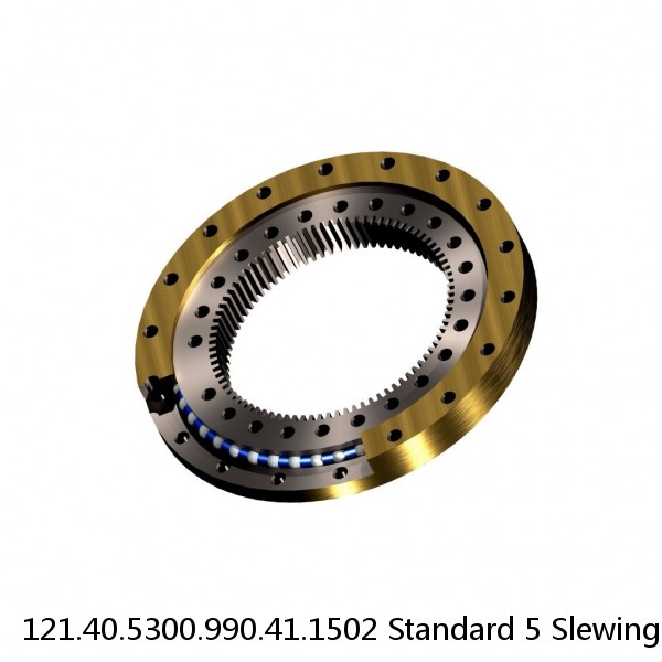 121.40.5300.990.41.1502 Standard 5 Slewing Ring Bearings