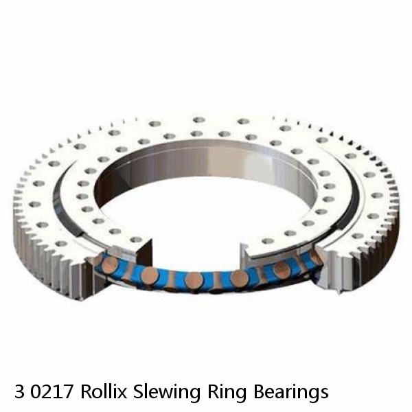 3 0217 Rollix Slewing Ring Bearings