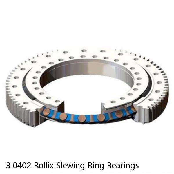 3 0402 Rollix Slewing Ring Bearings