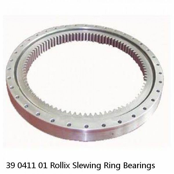 39 0411 01 Rollix Slewing Ring Bearings