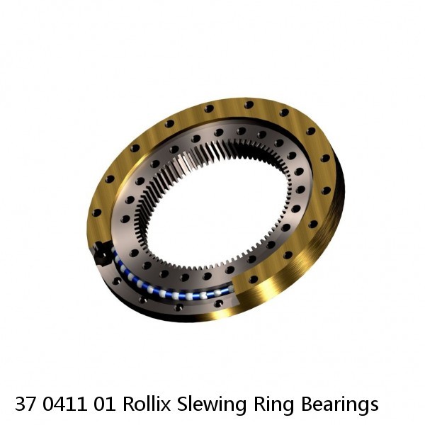 37 0411 01 Rollix Slewing Ring Bearings