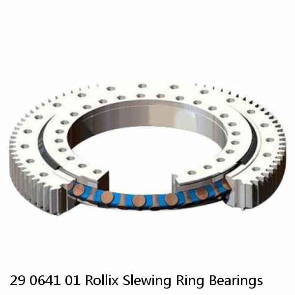 29 0641 01 Rollix Slewing Ring Bearings